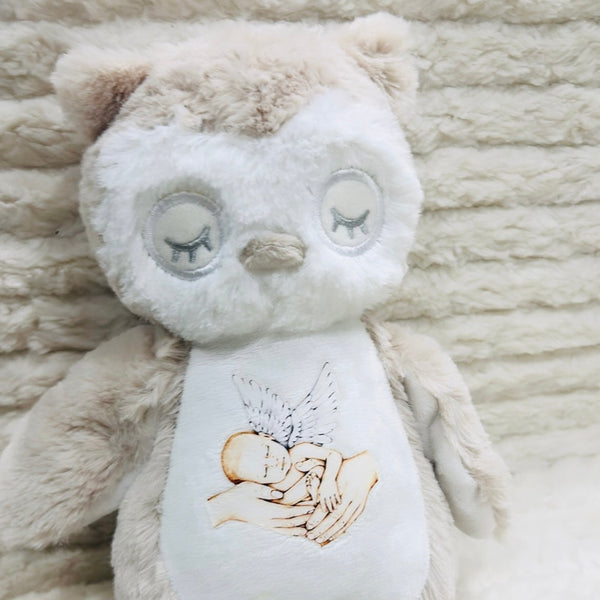 Sleeping Owl