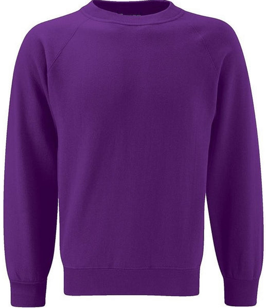 Purple Caedmon Primary School Jumper Green Circle