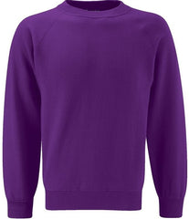 Purple Caedmon Primary School Jumper Green Circle