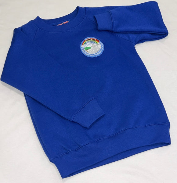 Dormanstown Primary School Jumper