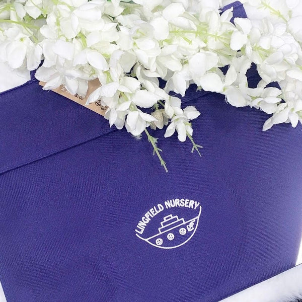 Lingfield Nursery Book Bag