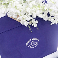 Lingfield Nursery Book Bag