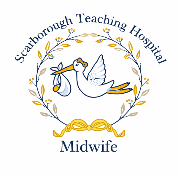 Navy Scarborough Teaching fleece