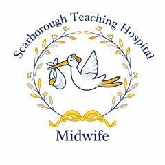 Navy Scarborough Teaching fleece