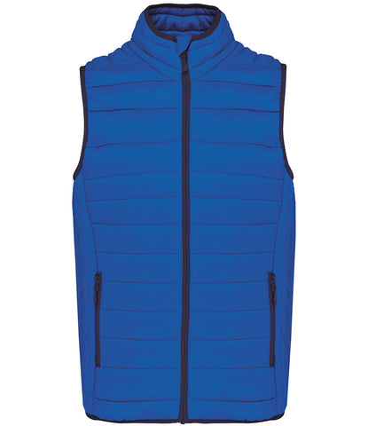 royal-blue